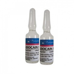 Lidocain 1% Pymepharco 50 ống x 3,5 ml - Thuốc tiêm gây tê