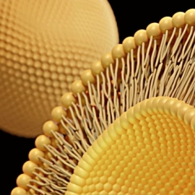 Liposomal Glutathione Là Gì? Khác Gì So Với Dạng Thông Thường?