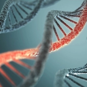 Loạn Dưỡng Cơ: Nguyên Nhân, Triệu Chứng Và Giải Pháp Điều Trị