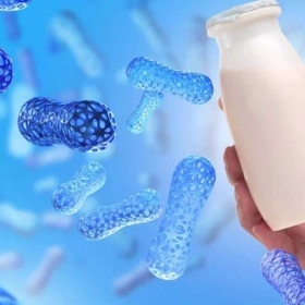 Lợi Khuẩn Probiotics: Công Dụng, Nguồn Bổ Sung Và Cách Sử Dụng