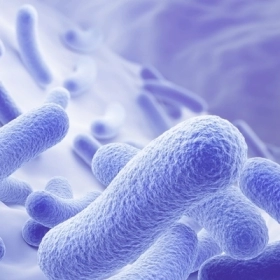 Men Vi Sinh Là Gì? Lợi Ích, Cách Dùng Và Những Lưu Ý Quan Trọng Cho Sức Khỏe