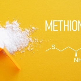 Methionine Là Gì? Công Dụng Và Vai Trò Đối Với Cơ Thể