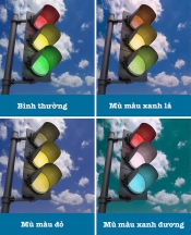 Mù màu Mù màu