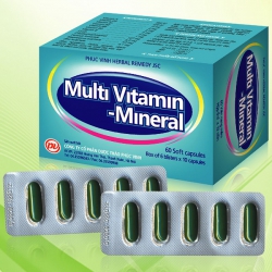 Tpbvsk Multi Vitamin Mineral  Phúc vinh | Hộp 100 viên
