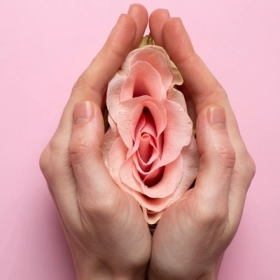 Nang Âm Hộ Là Gì? Nguyên Nhân, Triệu Chứng Và Cách Điều Trị
