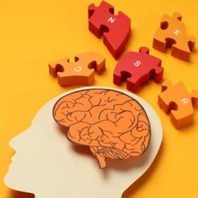 Não phải là gì? Vai trò và cách phát triển tối ưu