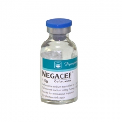 NEGACEF 1,5g PMP