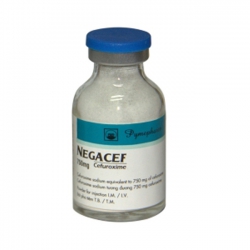 NEGACEF 750mg PMP