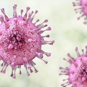 Nhiễm Cytomegalovirus Là Gì? Dấu Hiệu Và Cách Điều Trị