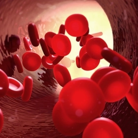 Nhiễm Toan Ceton Là Gì? Nguyên Nhân, Triệu Chứng Và Cách Xử Trí