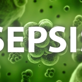 Nhiễm Trùng Máu Là Gì? Có Nguy Hiểm Không? Dấu Hiệu Và Cách Xử Lý