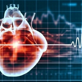 Nhịp Tim Chậm Là Gì? Nguyên Nhân, Triệu Chứng Và Cách Phòng Ngừa