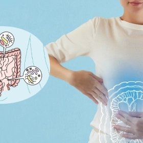 Những Thói Quen Hằng Ngày Gây Hại Cho Lợi Khuẩn Đường Ruột