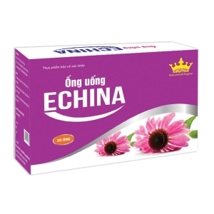Ống Uống Echina Kingphar 20 ống - Hỗ trợ tăng cường miễn dịch cho bé