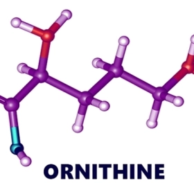 Ornithine Là Gì? Công Dụng, Cách Dùng Và Những Điều Cần Biết