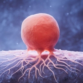 Pembrolizumab: Liệu Pháp Miễn Dịch Mở Ra Kỷ Nguyên Mới Trong Điều Trị Ung Thư