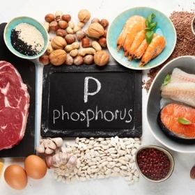 Phospho Là Gì? Vai Trò, Nhu Cầu Hằng Ngày Và Nguồn Bổ Sung Tốt Nhất Phospho Là Gì? Vai Trò, Nhu Cầu Hằng Ngày Và Nguồn Bổ Sung Tốt Nhất
