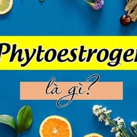 Phytoestrogen Là Gì? Có Giúp Cân Bằng Estrogen Tự Nhiên Không?