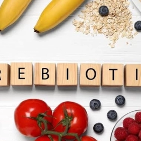 Prebiotic Là Gì? Vai Trò Quan Trọng Đối Với Sức Khỏe Đường Ruột