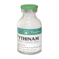 Pythinam 500mg Pymepharco 1 lọ - Thuốc kháng sinh