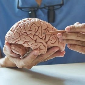 Rỗ não là gì? Nguyên nhân, triệu chứng và cách điều trị