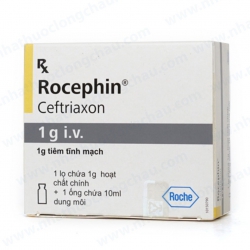 Rocephin 1g i.v, Hộp 1 lọ + 10ml dung môi Rocephin 1g i.v, Hộp 1 lọ + 10ml dung môi