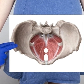 Rối Loạn Sàn Chậu: Dấu Hiệu Nhận Biết Và Giải Pháp Cải Thiện Tối Ưu