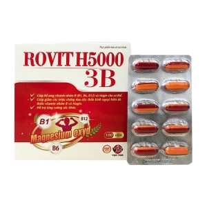 Rovit H5000 3B 10 vỉ x 10 viên - Bổ sung vitamin nhóm B