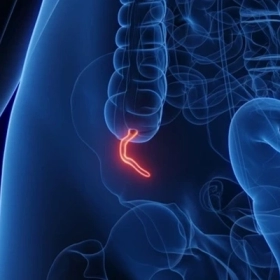 Ruột Thừa Có Tác Dụng Gì Trong Cơ Thể?