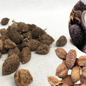 Sa Nhân Có Tác Dụng Gì? Cách Dùng Sa Nhân An Toàn, Hiệu Quả