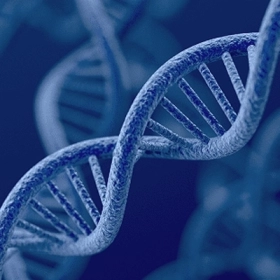 Serine Là Gì? Vai Trò Của Serine Đối Với Sức Khỏe Và Não Bộ