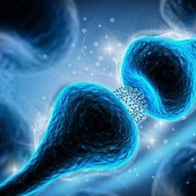 Serotonin là gì? Nguyên nhân thiếu serotonin và cách bổ sung hiệu quả