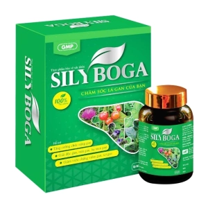 Sily Boga Dragon 6 vỉ x 10 viên
