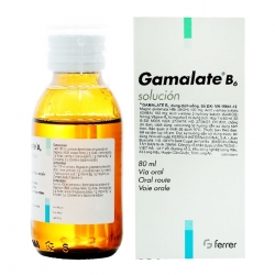 Siro Ferrer Gamalate B6 80ml