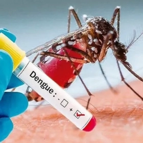 Sốt Xuất Huyết Dengue Có Nguy Hiểm Không? Biến Chứng Cần Biết