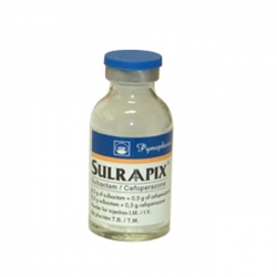 Sulrapix 500mg Pymepharco 10 lọ - Thuốc kháng sinh