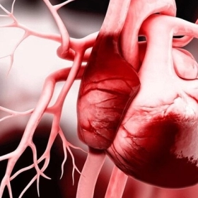 Suy tim sung huyết là gì? Nguyên nhân, triệu chứng và cách điều trị