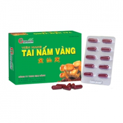 Tpbvsk Gpharm Tai nấm vàng, Hộp 60 viên