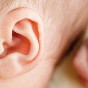 Tật Tai Nhỏ Bẩm Sinh (Microtia): Dấu Hiệu Nhận Biết Và Hướng Xử Lý
