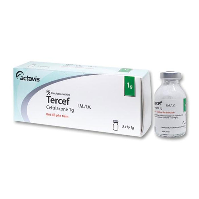 Thuốc Tercef 1g, Hộp 5 lọ