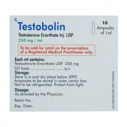 Testobolin 250mg/ml Alpha Pharma 10 ống Testobolin 250mg/ml Alpha Pharma 10 ống