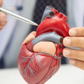 Thân Chung Động Mạch: Chẩn Đoán, Điều Trị Và Chăm Sóc