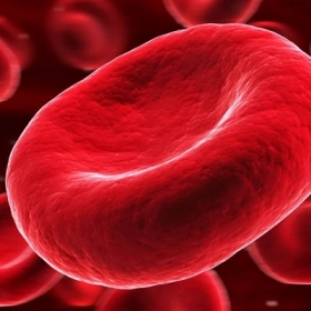 Thiếu Máu Hồng Cầu To: Nguyên Nhân, Triệu Chứng Và Cách Điều Trị Hiệu Quả