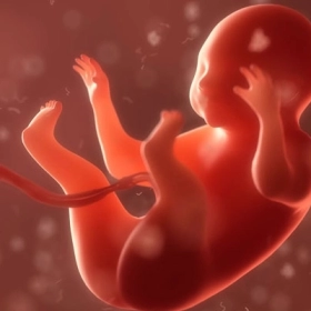 Thiểu Năng Tuyến Giáp Bẩm Sinh: Nguyên Nhân, Dấu Hiệu Và Cách Điều Trị