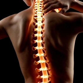 Thoái Hóa Cột Sống: Nguyên Nhân, Triệu Chứng Và Cách Điều Trị Hiệu Quả