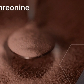 Threonine Là Gì? Công Dụng Và Vai Trò Đối Với Cơ Thể