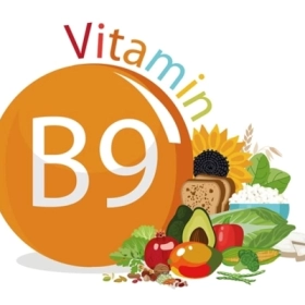 Thừa Acid Folic( Vitamin B9) Có Nguy Hiểm Không? Sự Thật Bạn Cần Biết Ngay