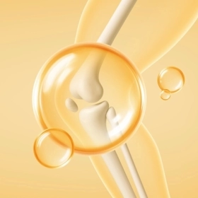 Thực Phẩm Bổ Sung Chất Nhờn Cho Khớp Và Bảo Vệ Sụn Khớp Tự Nhiên