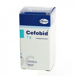 Thuốc Cefobid 1g