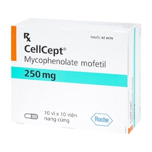 CellCept 250mg Roche 10 vỉ x 10 viên CellCept 250mg Roche 10 vỉ x 10 viên